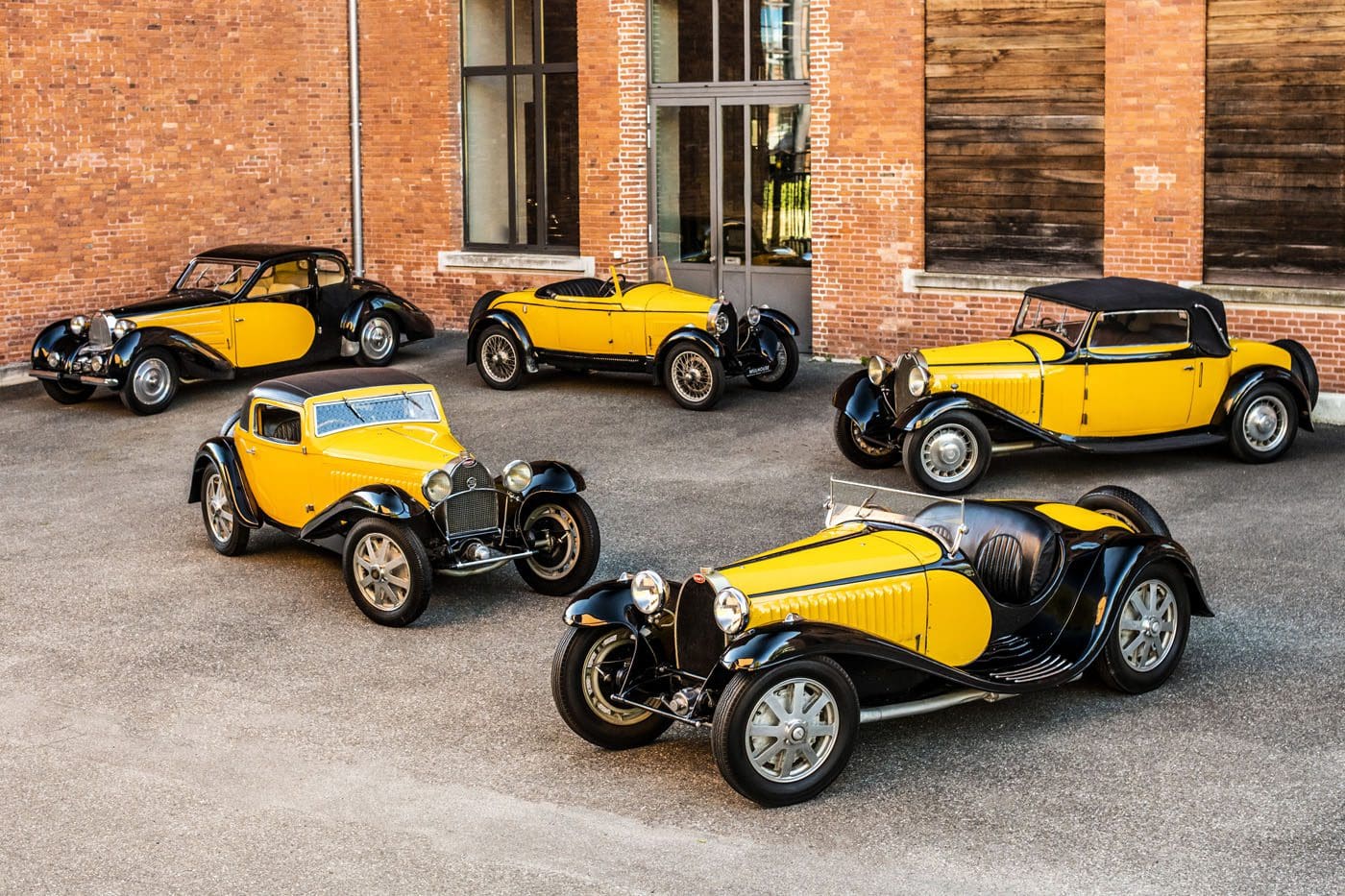 01 BUGATTI Ettores favorite colors