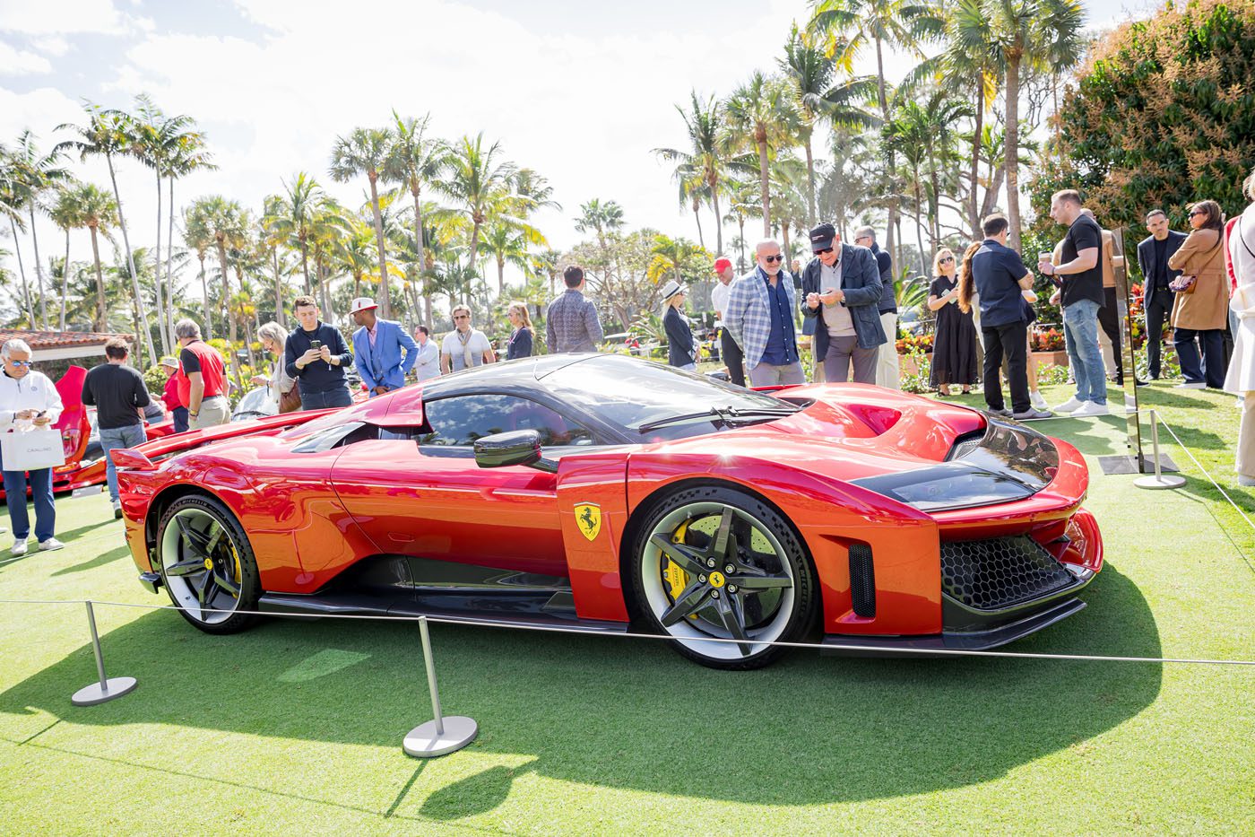 0311_cavallino_2025_7049