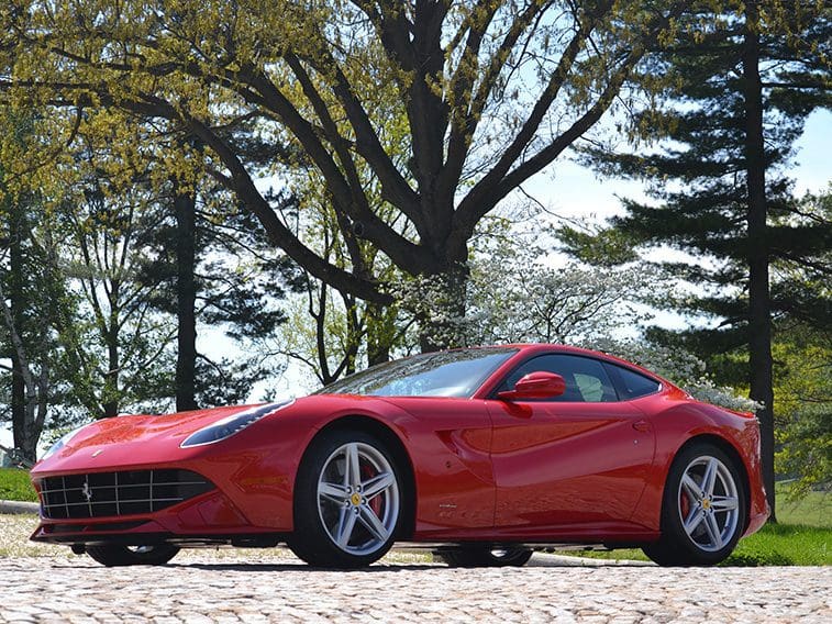 10.AlgarF12sideviewespringtree