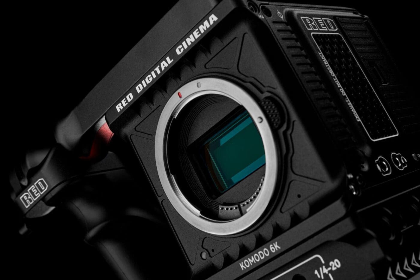 121256827_3870246486336454_9104903691906746006_o