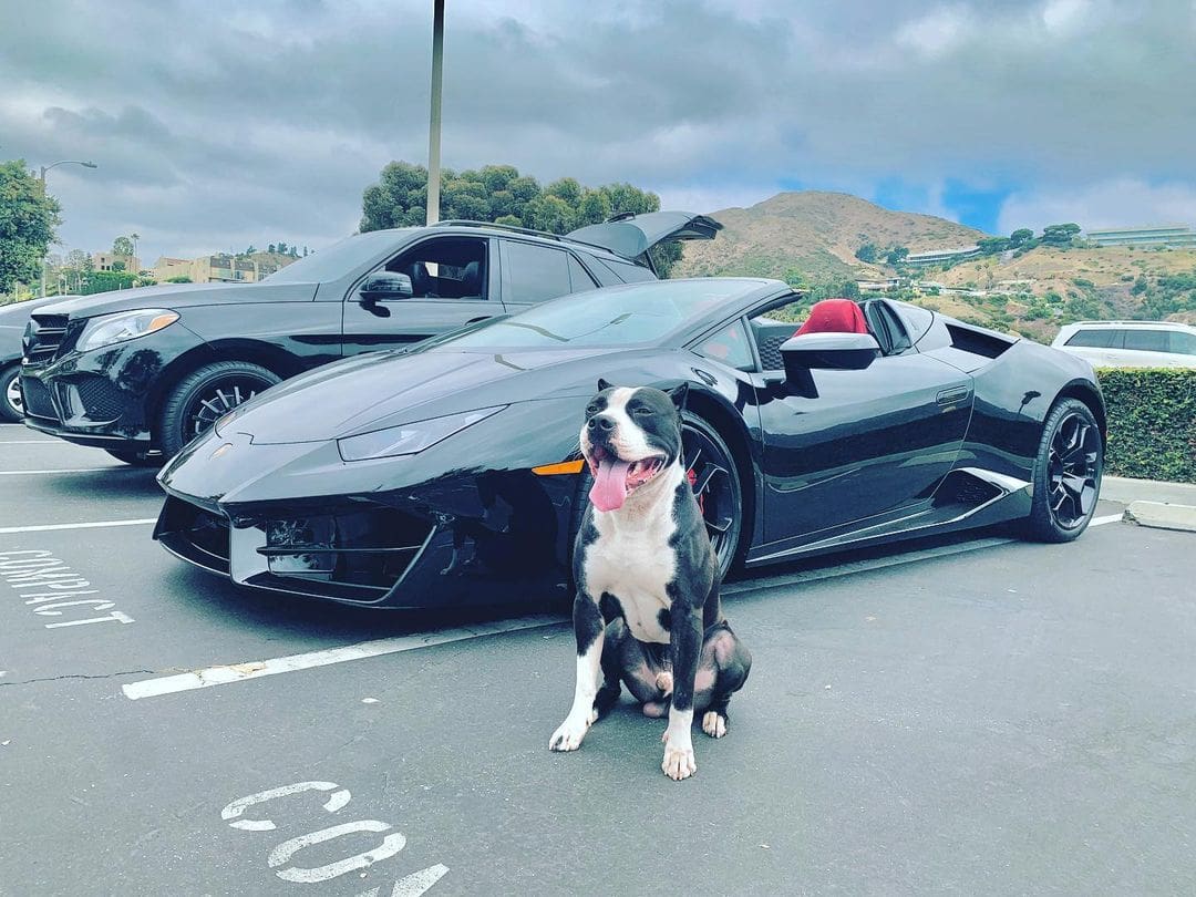 165231899 197526528469282 3260333117921578778 n