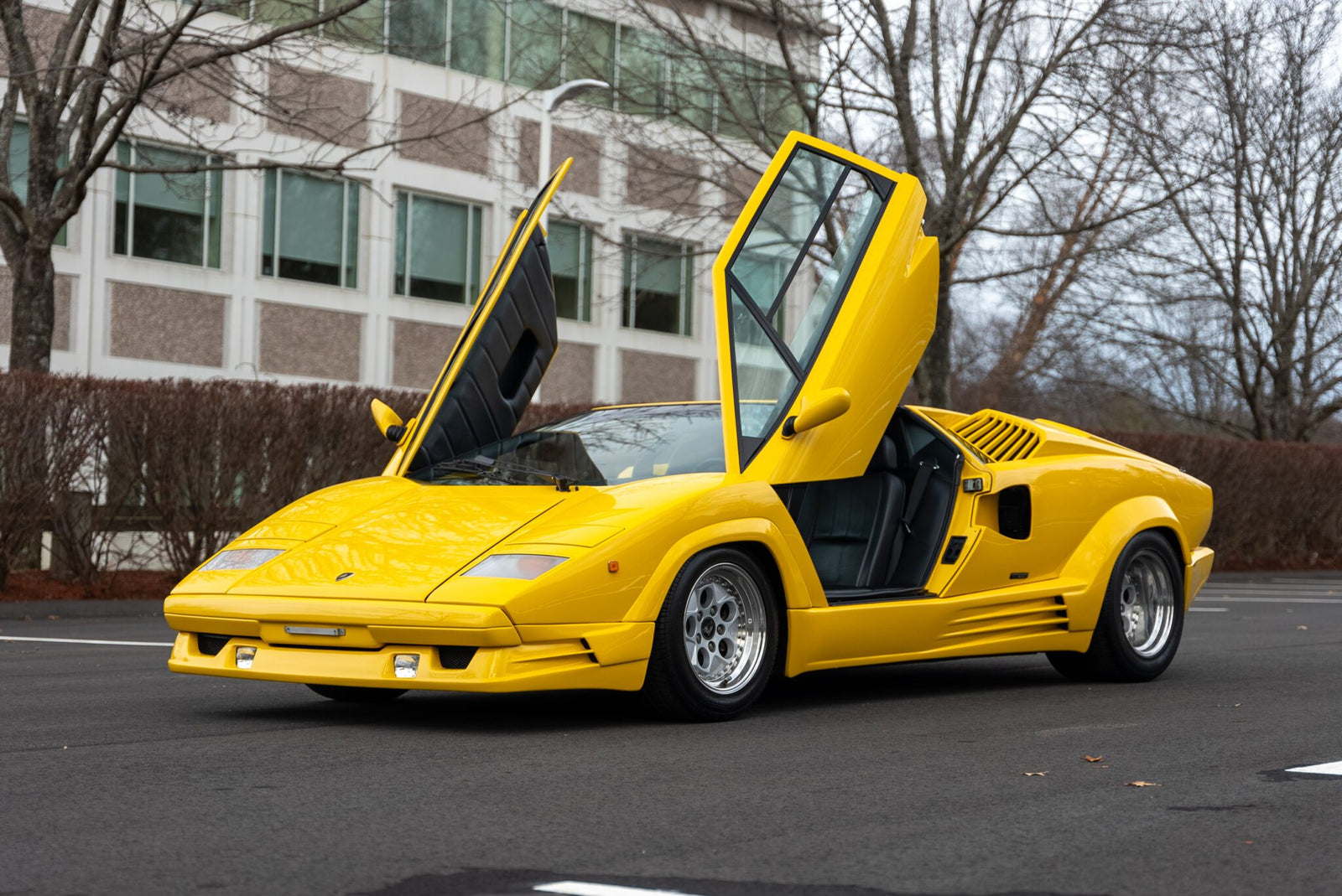 1989 Lamborghini Countach 19