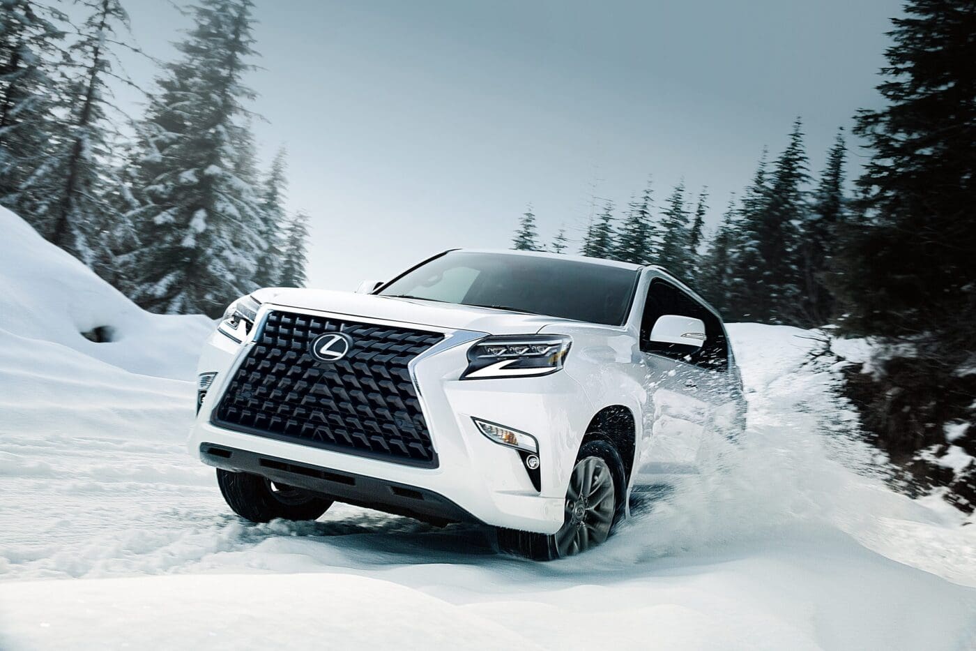 2021 Lexus GX (12)