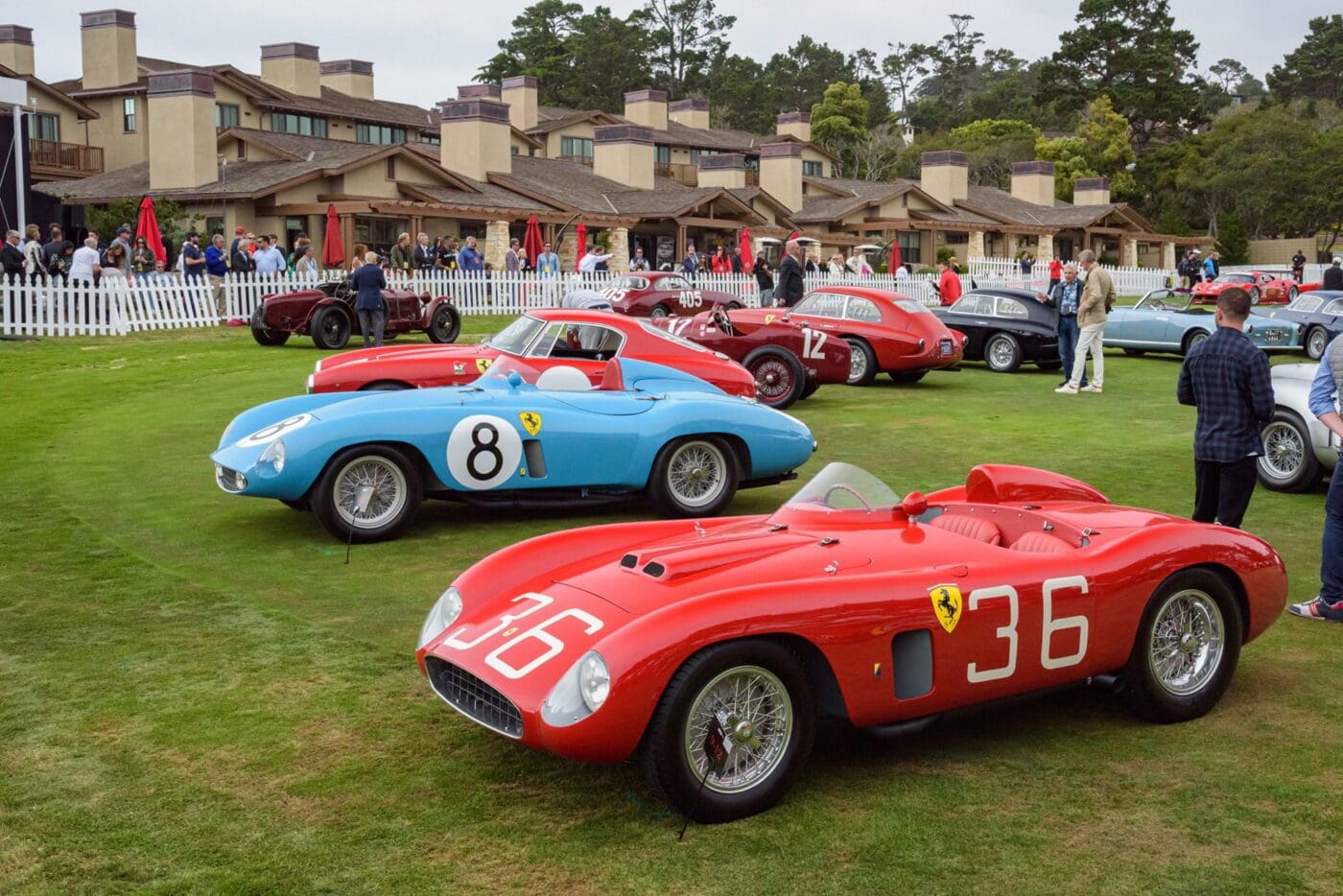 226592382 6341136335903934 5034941382558372526 n