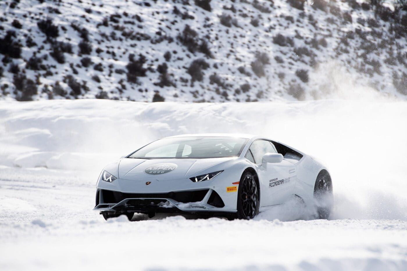 83928334 4100447543314168 6801864540452552704 o