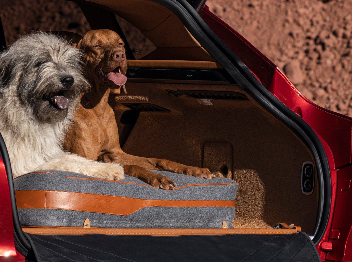 Aston_Martin_DBX_Pet_Pack_1-jpg