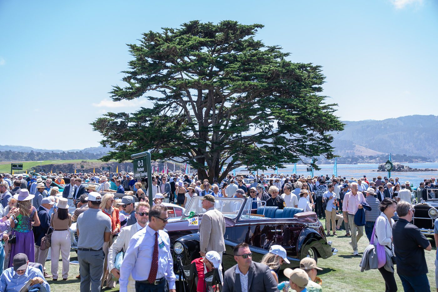 A large crowd gathers outdoors around classic cars under a tall tree, with mountains and water in the background—capturing the vibrant perspective of Monterey Car Week on a sunny day.