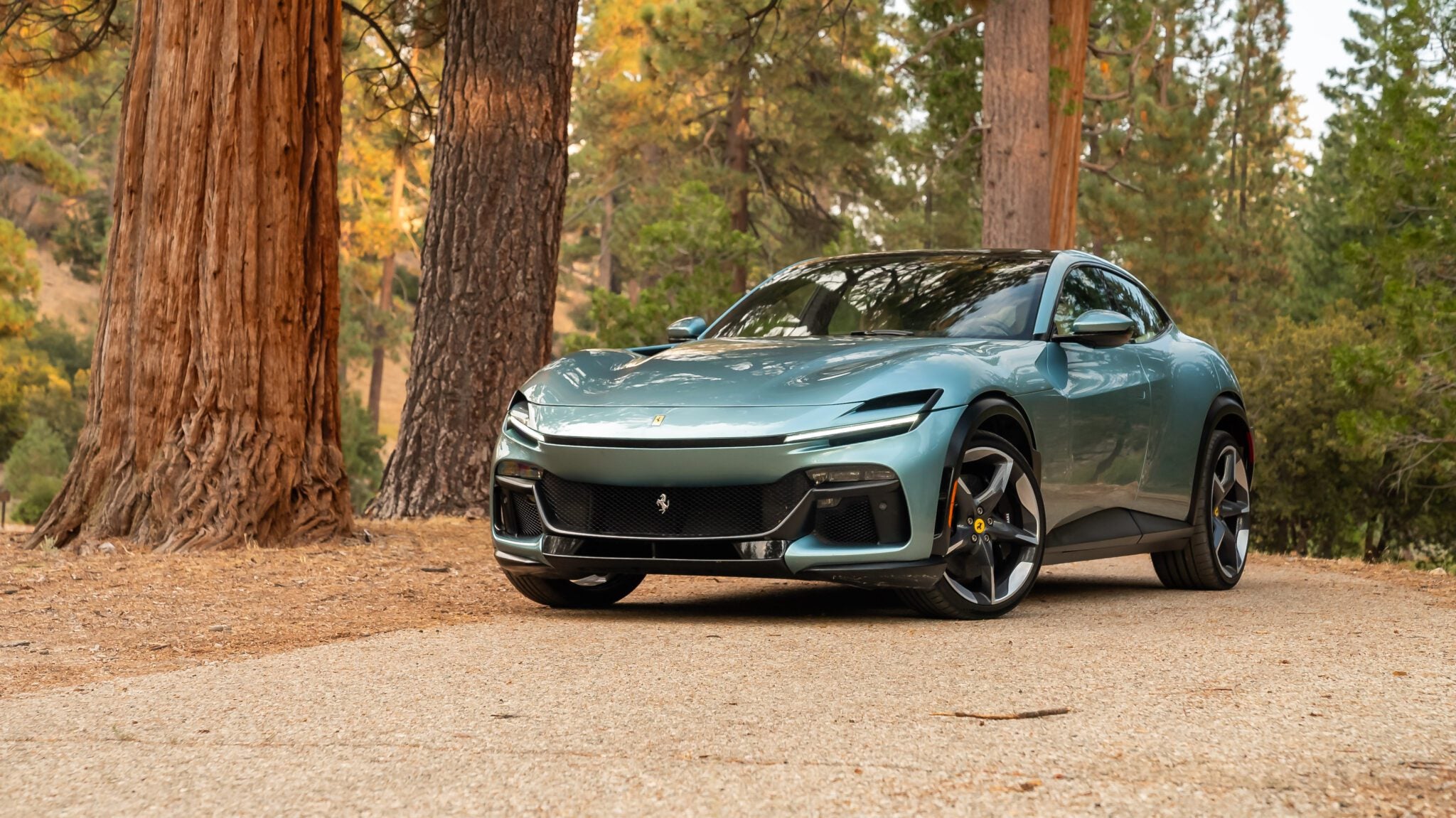 A sleek, green sports car parked on a forest road between tall trees.