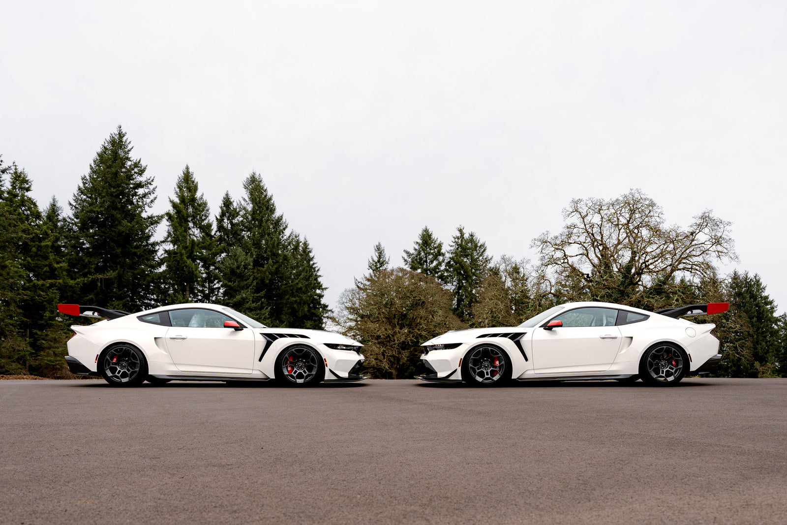 Where XPEL Excellence Meets Ford Performance