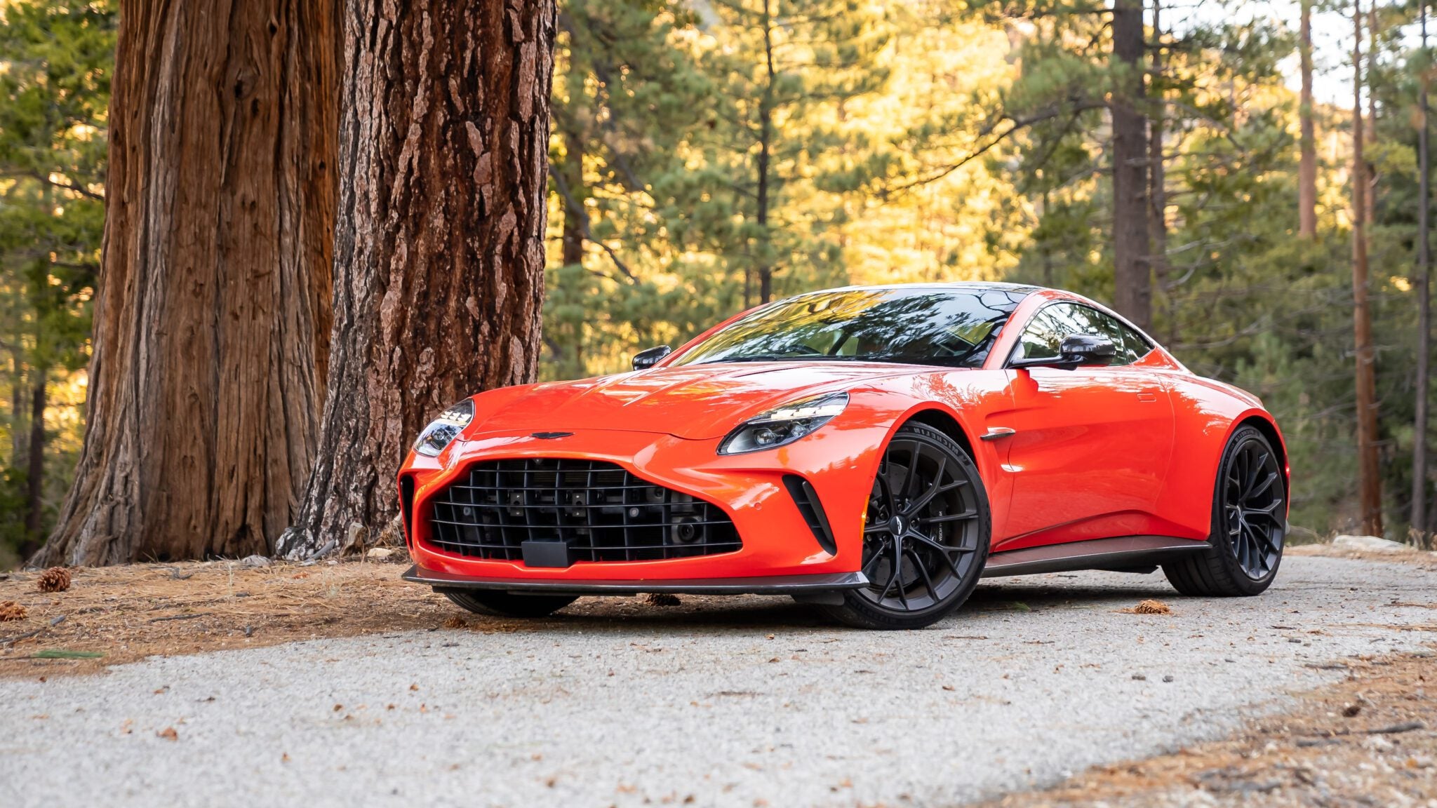 グラント・イーワンズ VANTAGE Review: The 2025 Aston Martin Vantage Is For The Drivers – duPont