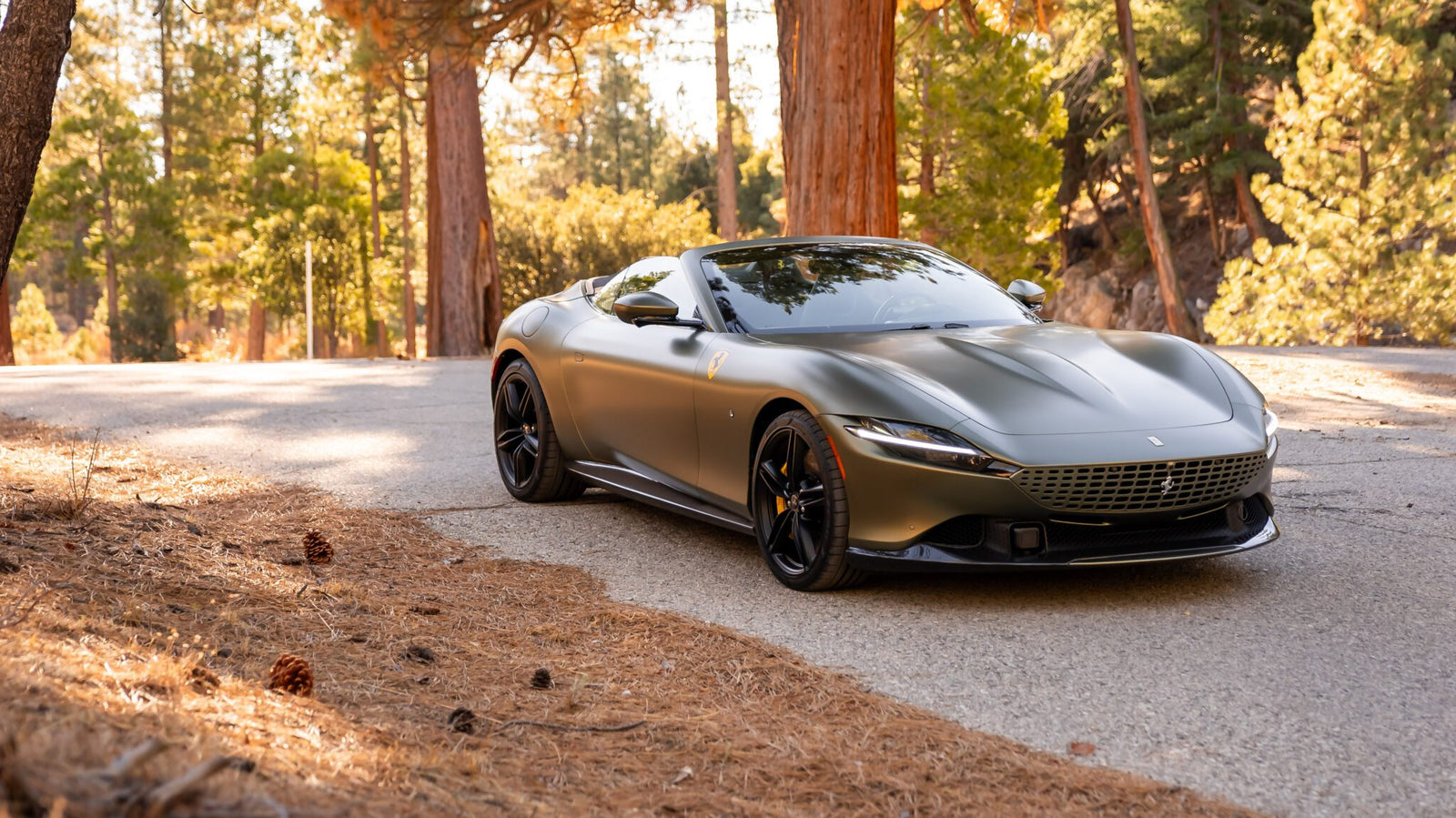 A sleek, gray sports car is parked on a forest road surrounded by tall trees and scattered pinecones.