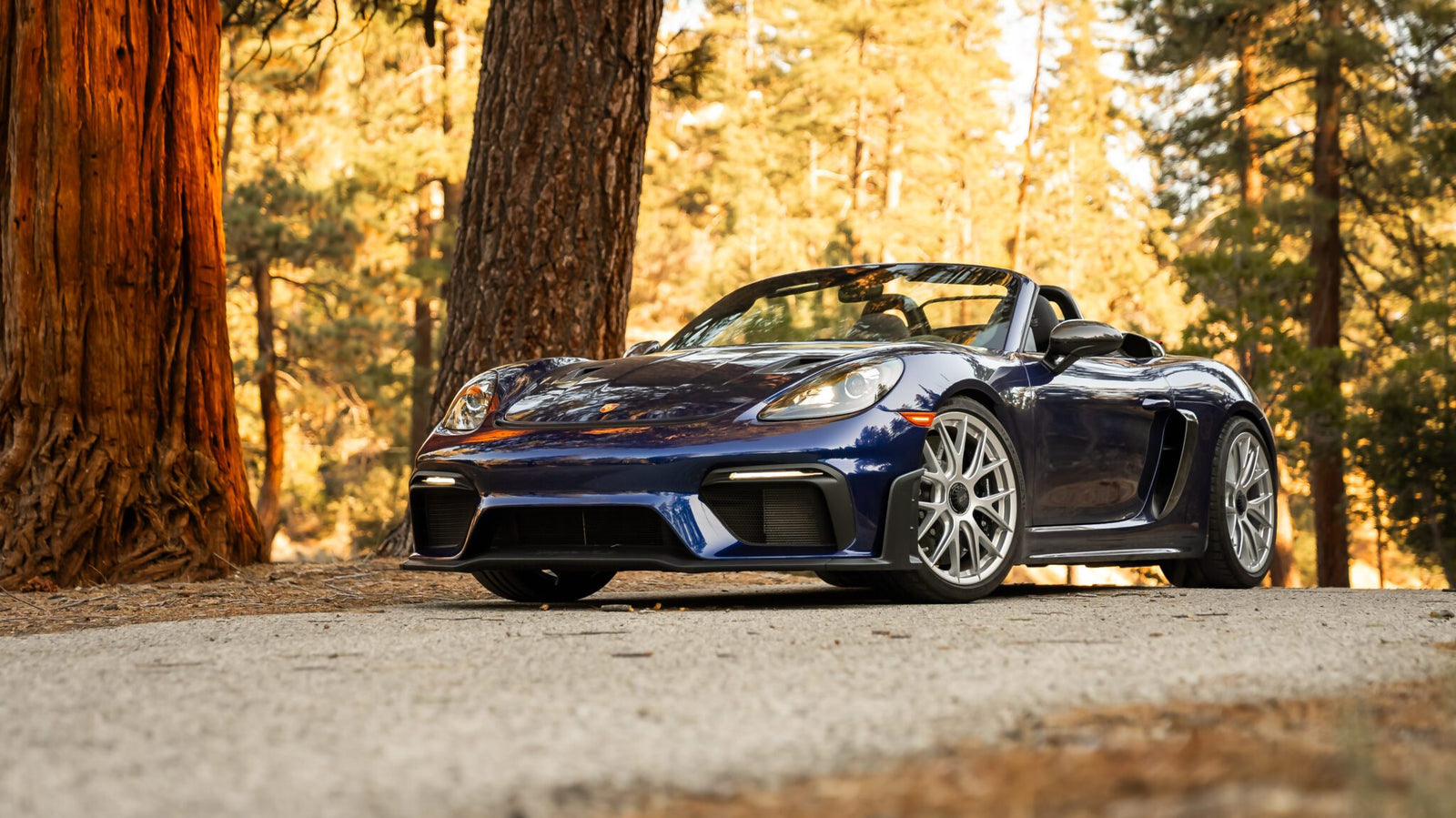 Blue convertible sports car parked on a tree-lined road with sunlight filtering through the trees.
