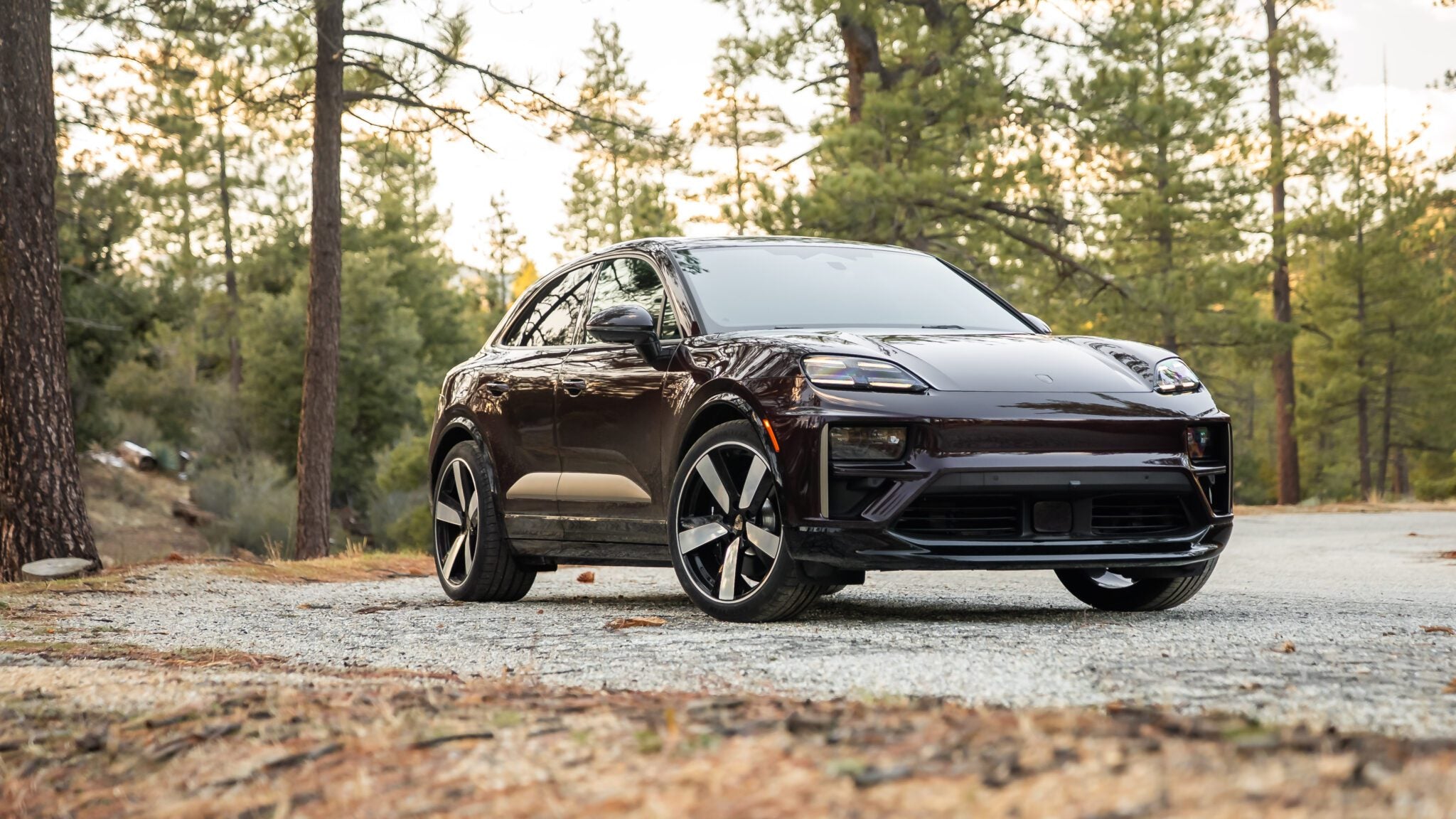A dark-colored electric SUV is parked on a gravel road in a forested area with tall trees and scattered dry leaves.