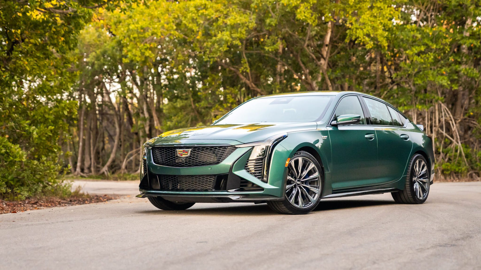 A green Cadillac sedan is parked on a paved road surrounded by trees and greenery.