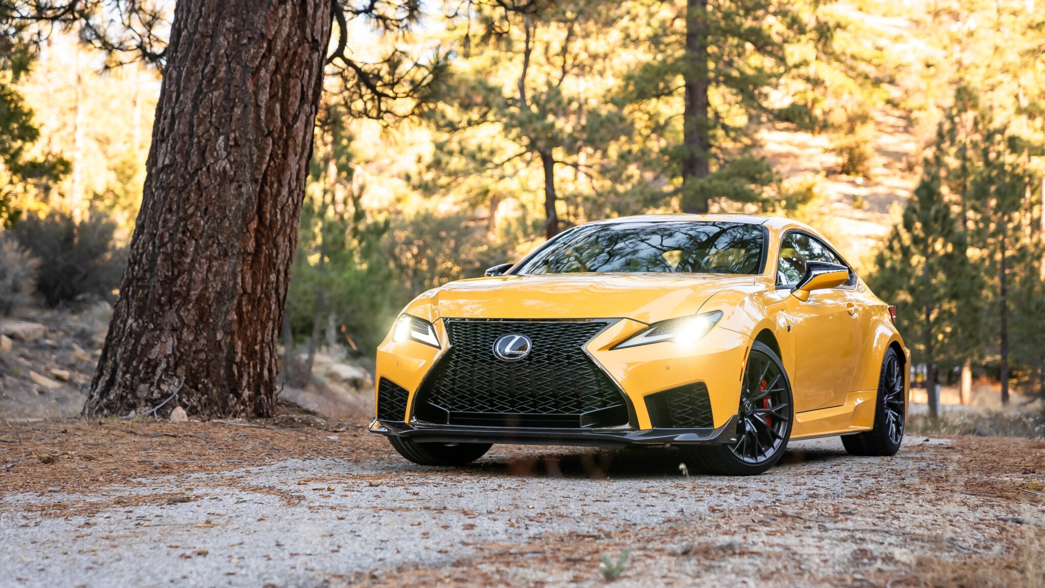 An image of a Lexus RC F parked outdoors.