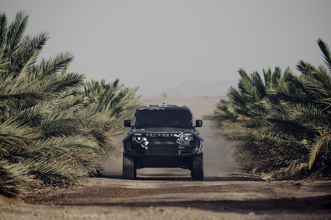 A black off-road vehicle drives on a dirt path between palm trees in a desert landscape.