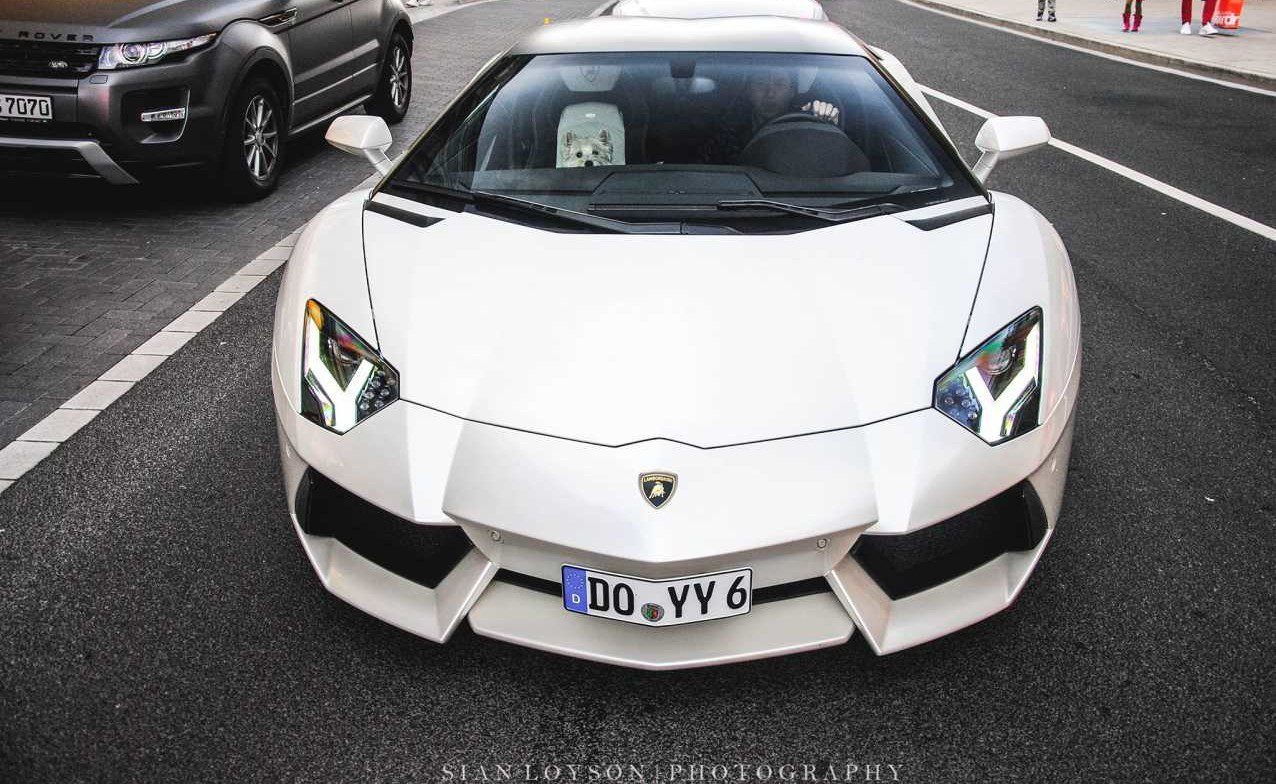 Ferrari and Small Dog