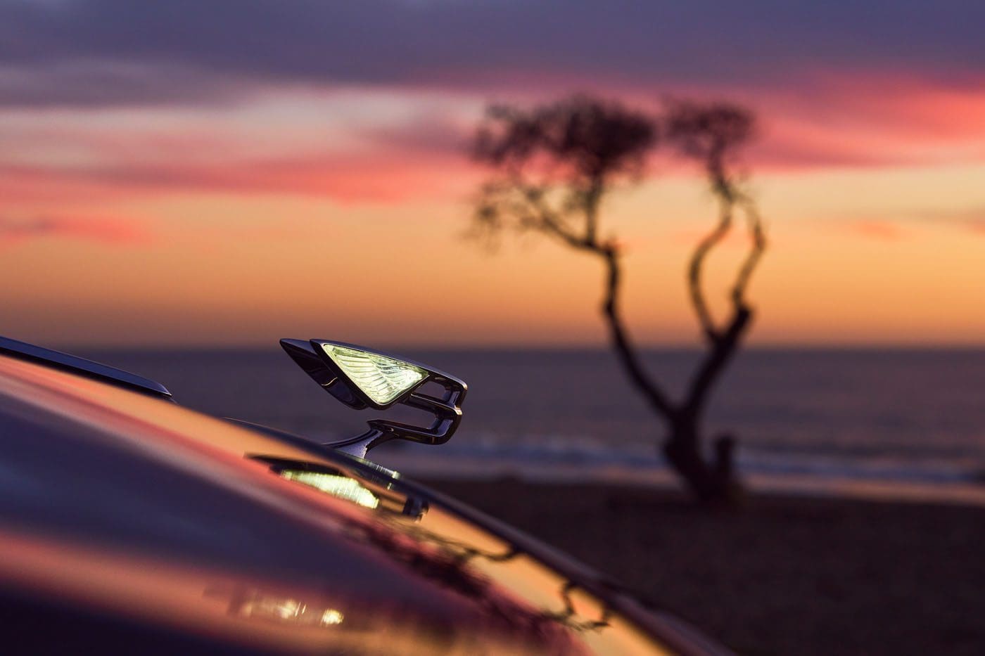 Flying B Production 1