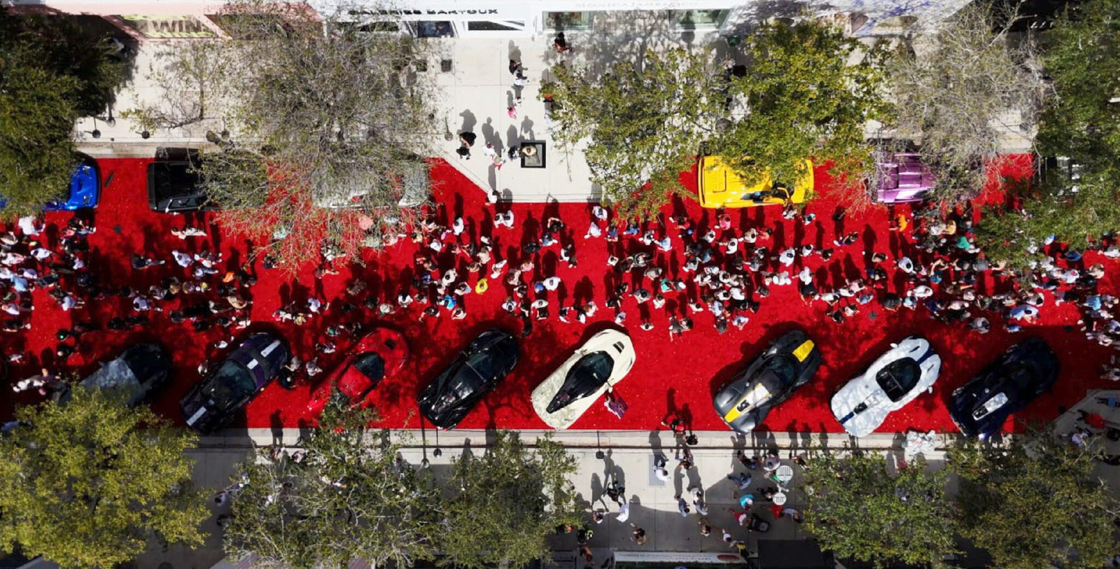 Aerial view of the Miami Concours 2025 event, with luxury cars displayed on a red carpet, surrounded by award winners, guests, and trees on a sunny day.