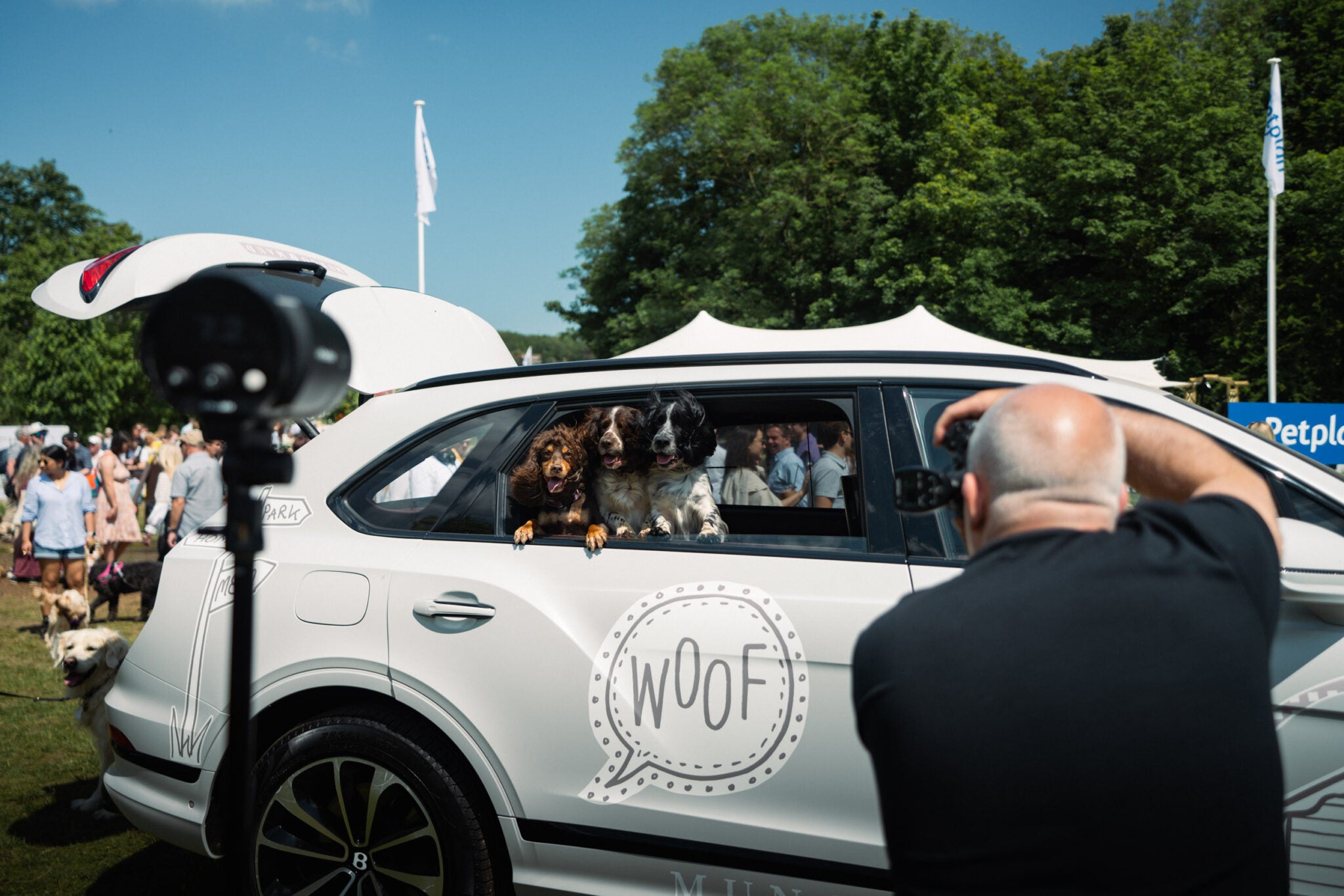 Goodwoof 2