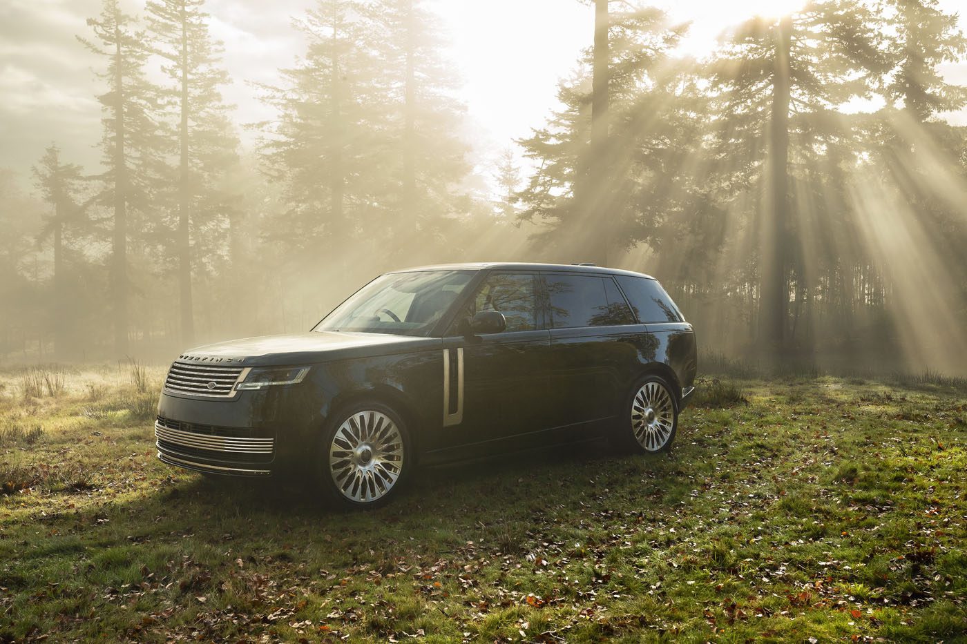 A black Range Rover SUV parked on grass in a sunlit forest clearing with rays of sunlight streaming through the trees.