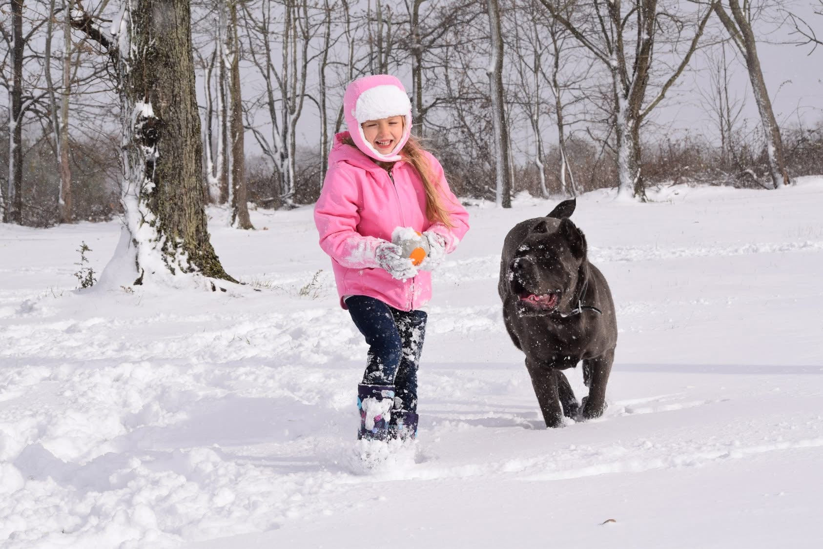 The Scandifio Corso Academy: Where Two Worlds Collide