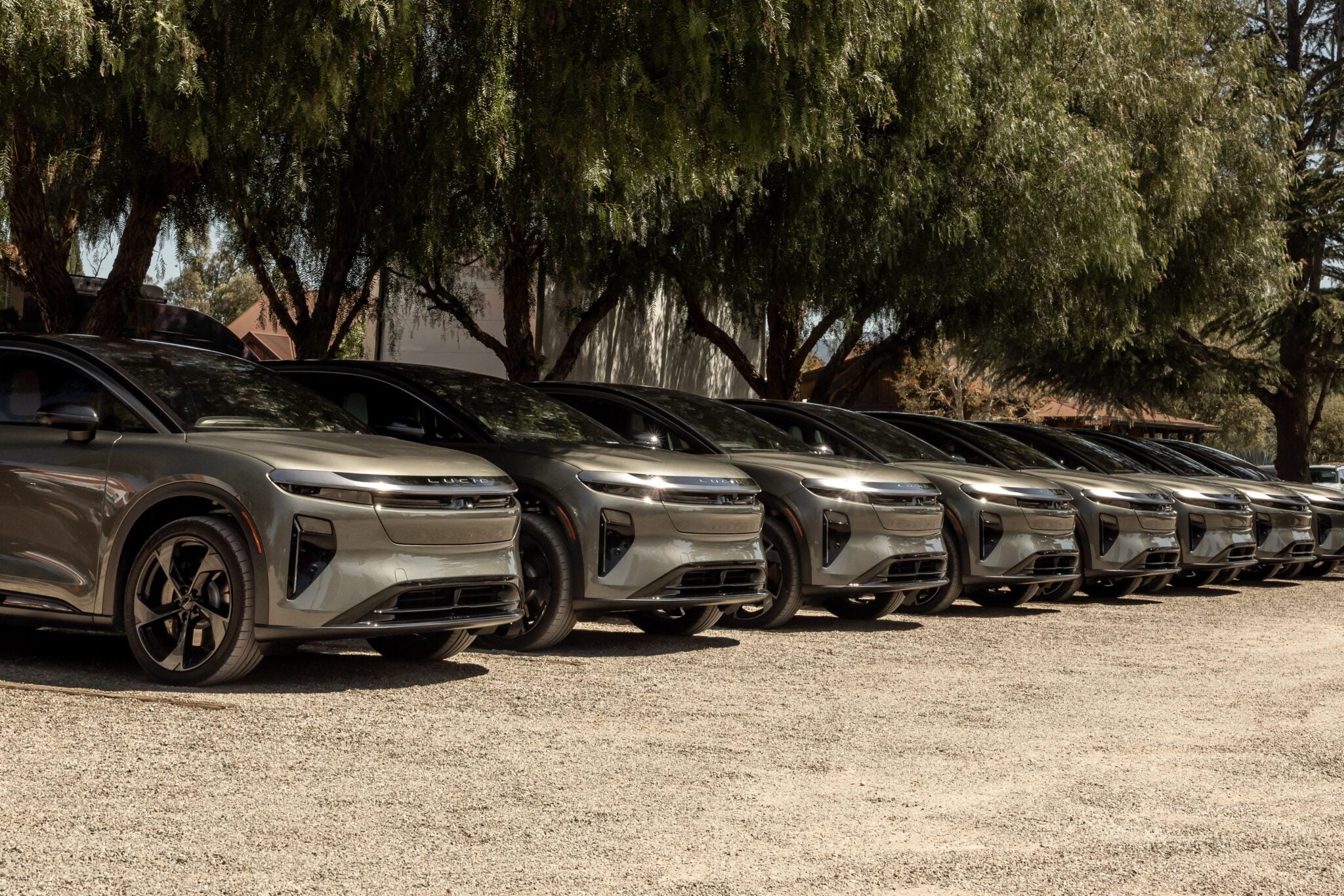 A row of identical silver electric cars is parked side by side on a gravel lot under large trees.
