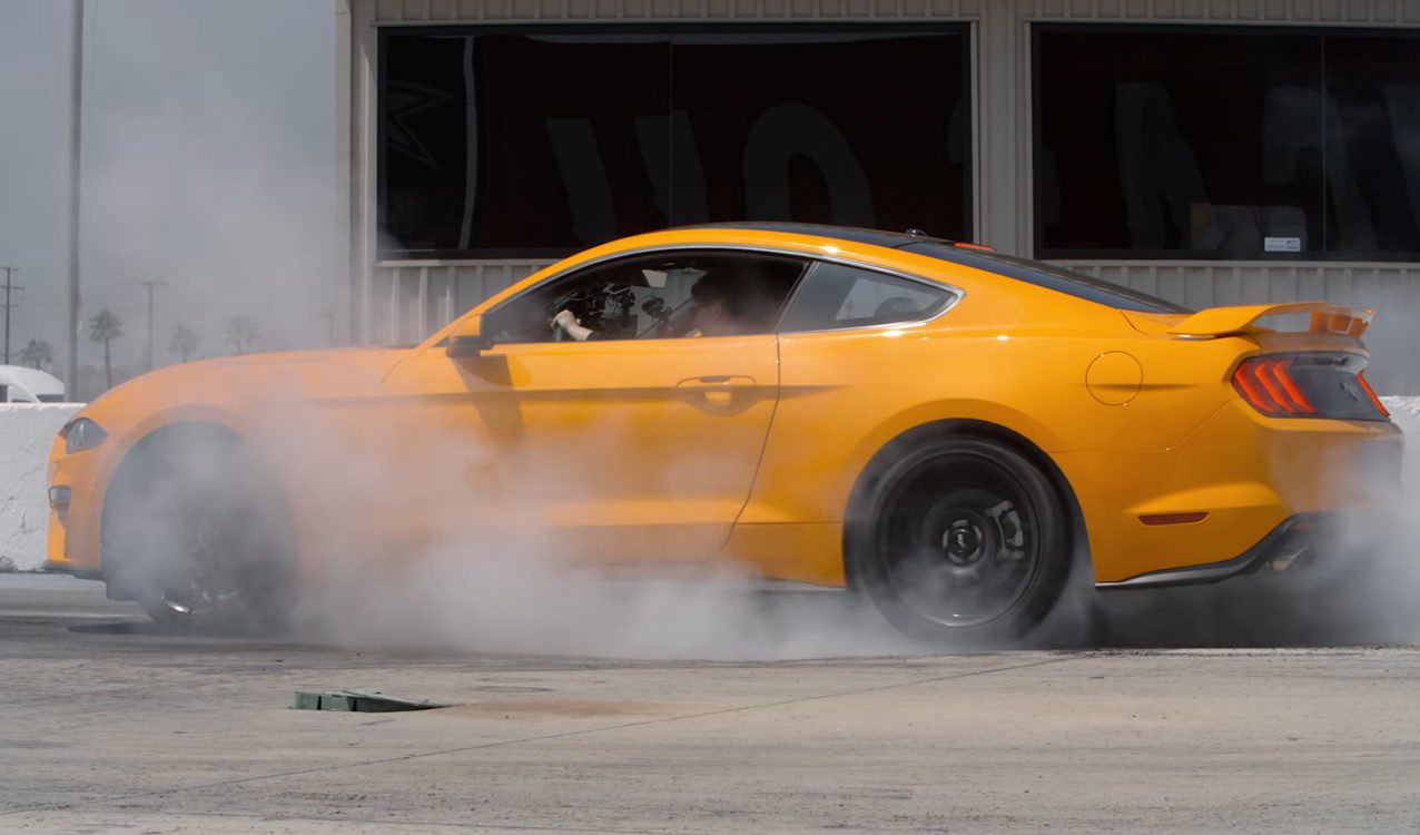 Mustang Burnout