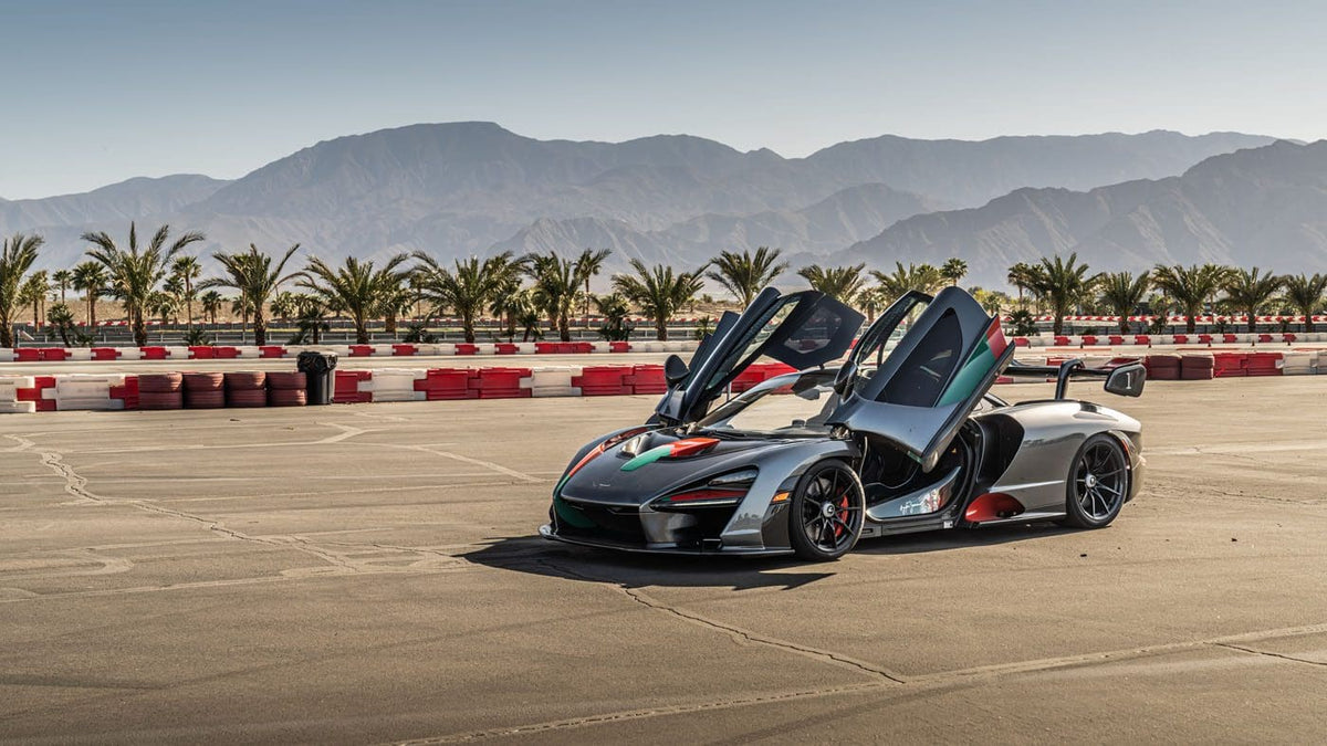 Pato Senna XP 54