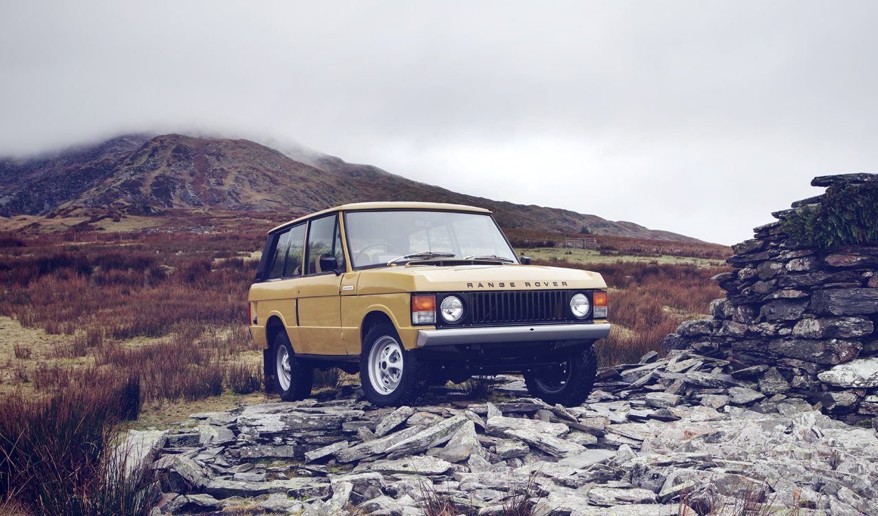 Renge Reborn Feature