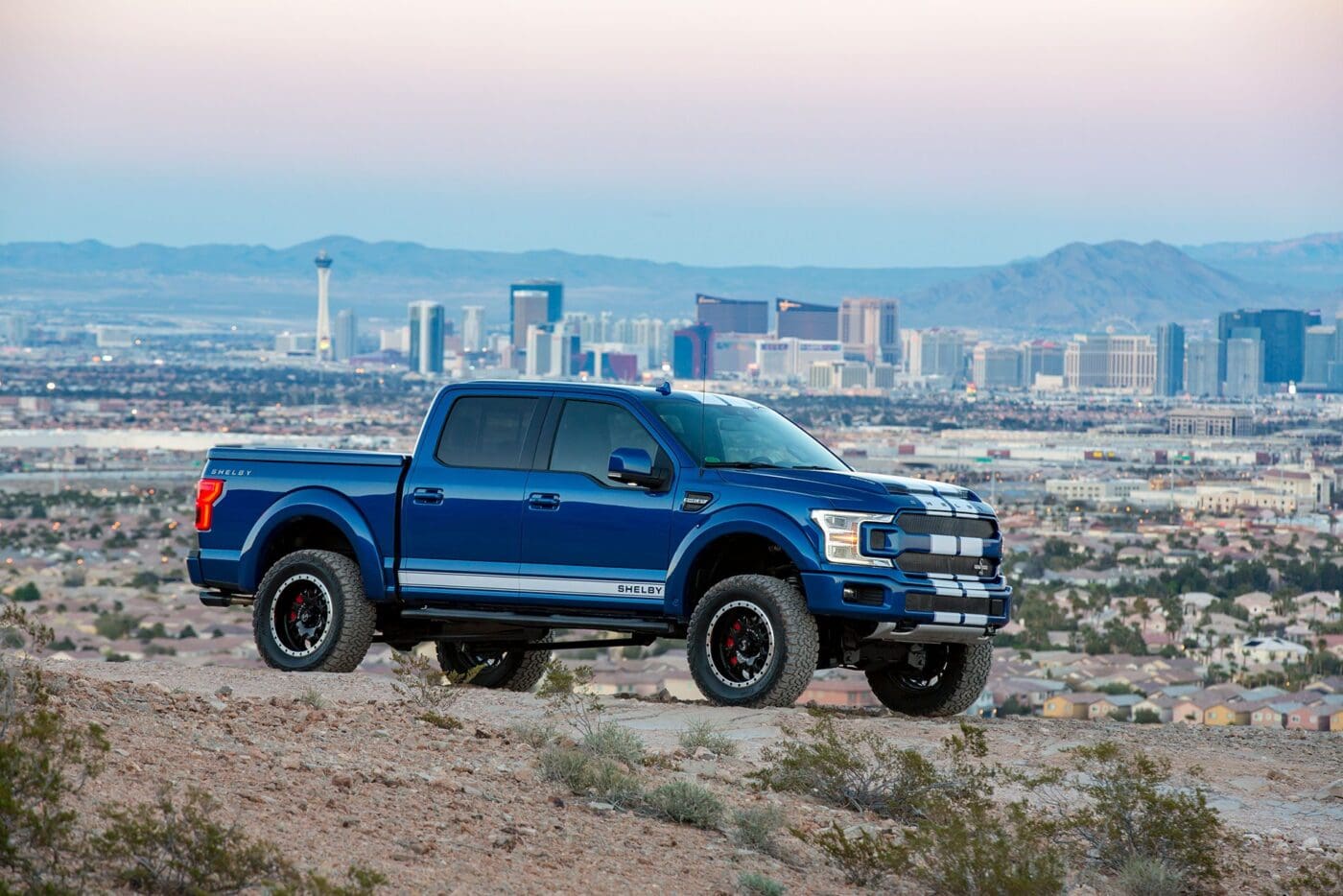 Shelby F150