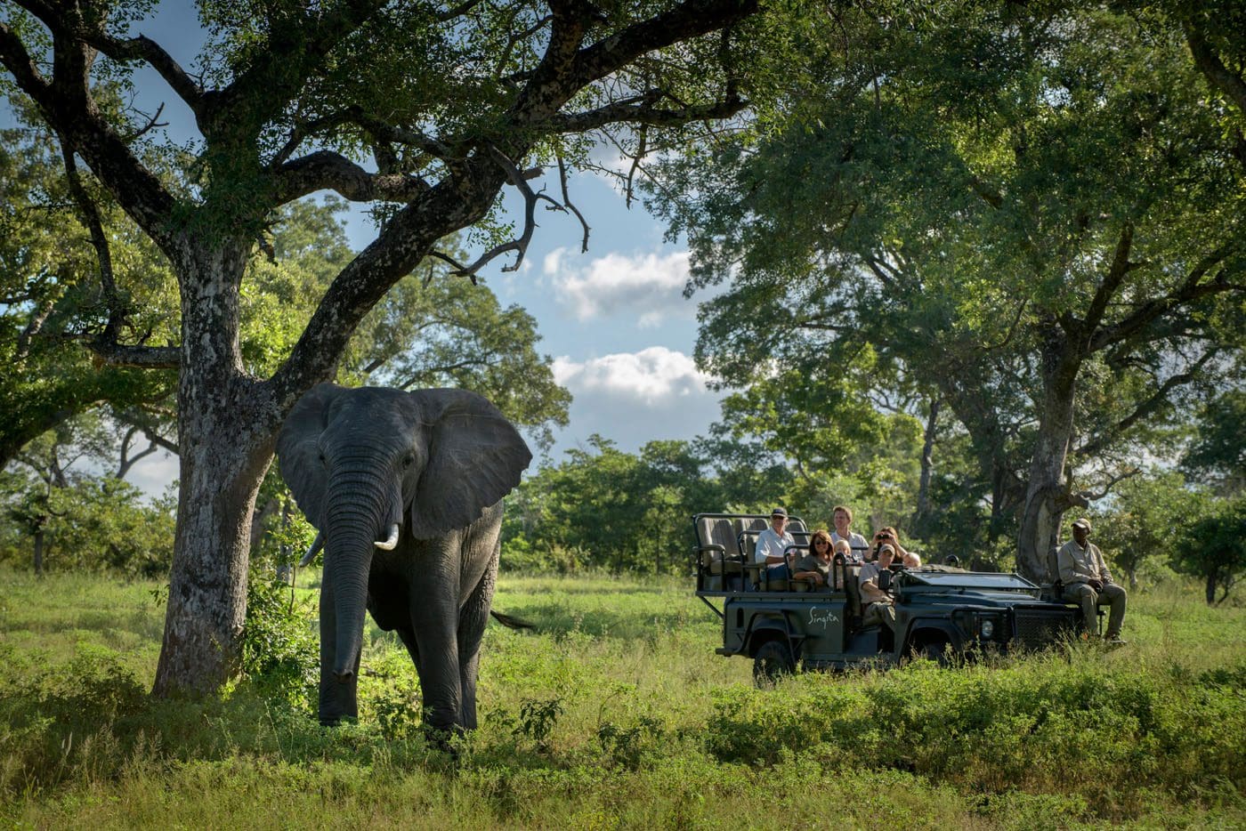 Singita Castleton Game Drive scaled 1