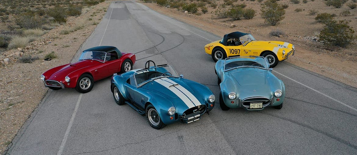 Steven Juliano Cobras