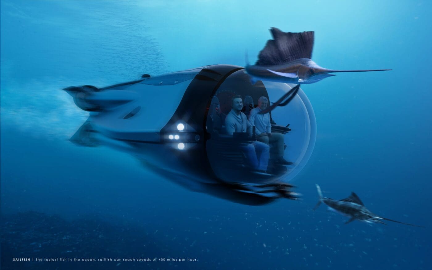 Super Sub Sailfish