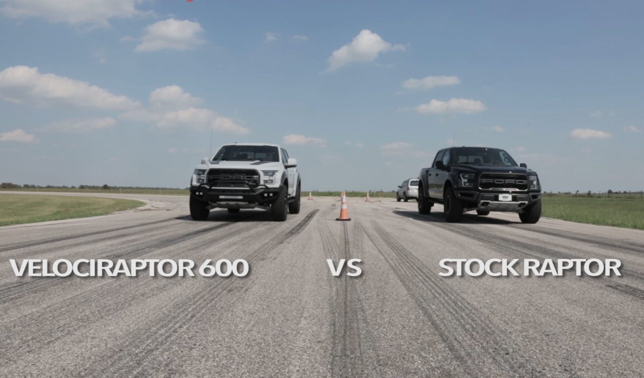 Velociraptor 600