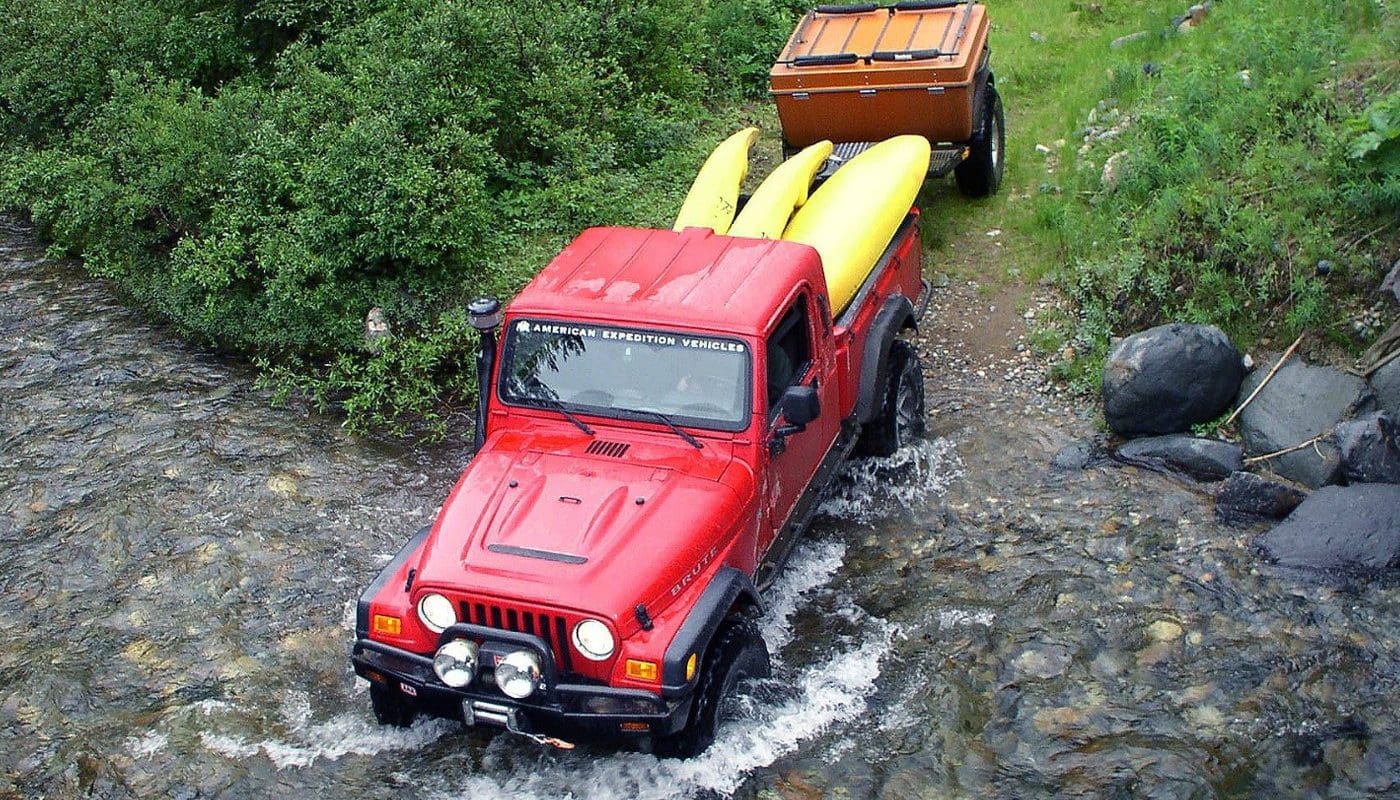 aev (1)