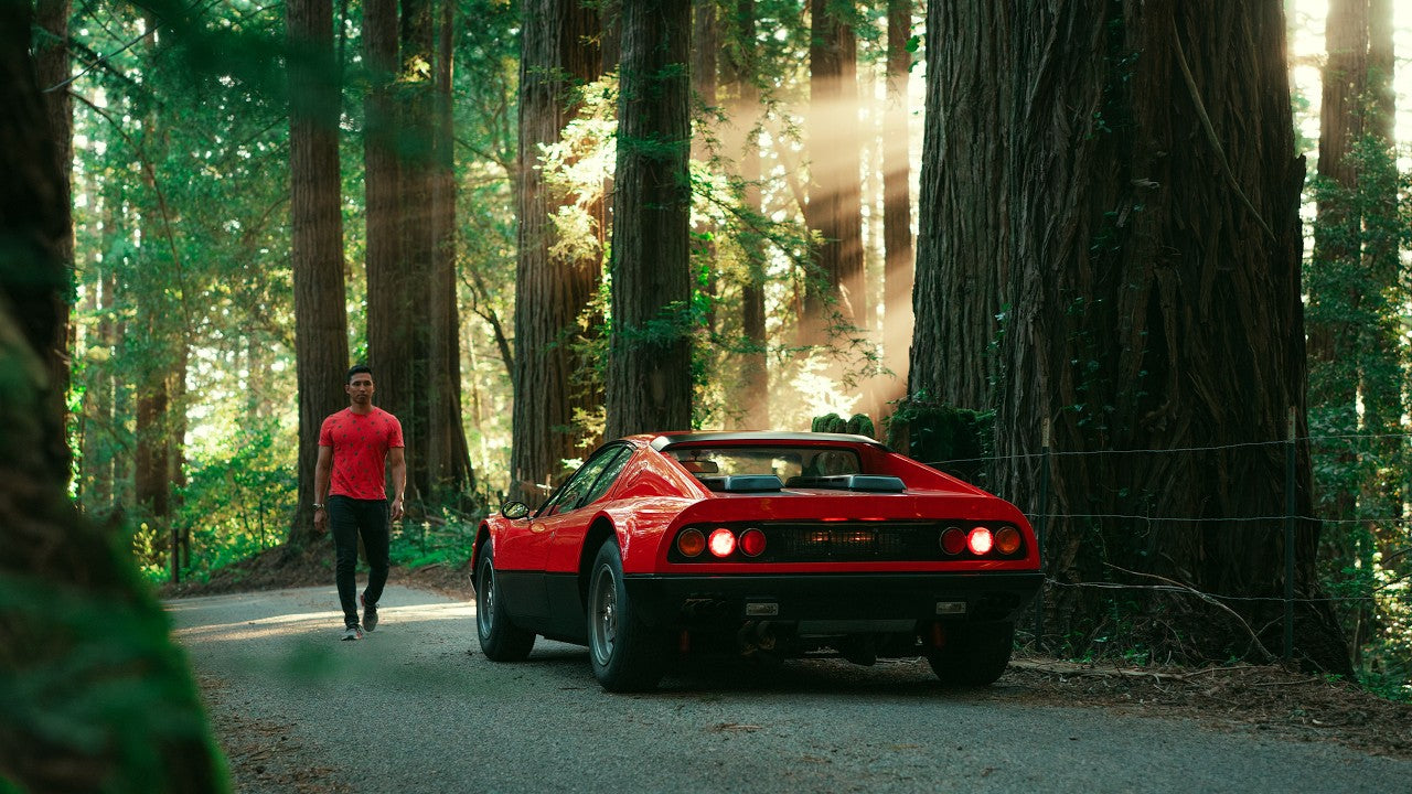 Ferrari 365 GT4 BB Through Shadow and Light: Forest Run