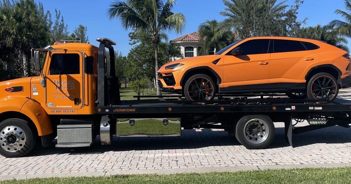 dealerschoicetansport (3)