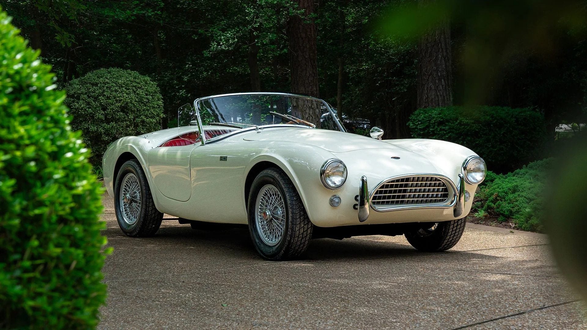 download - 2025-06-24T100951.930