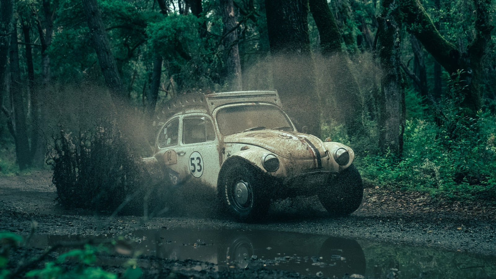 Fifty Three: Ralph's 1965 Volkswagen Baja Bug