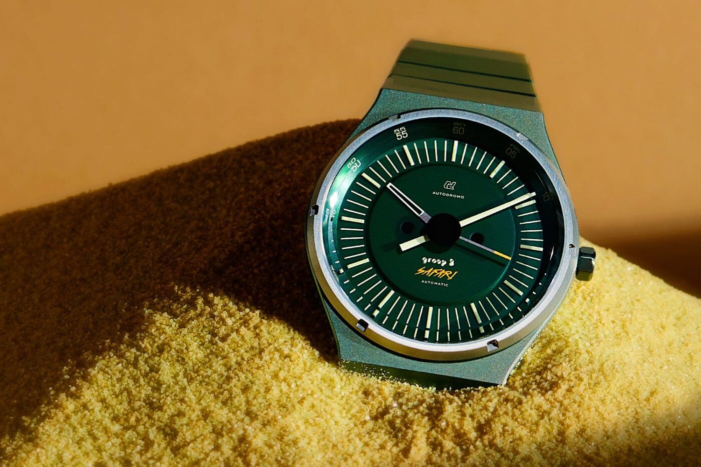 groupb-safari-watch