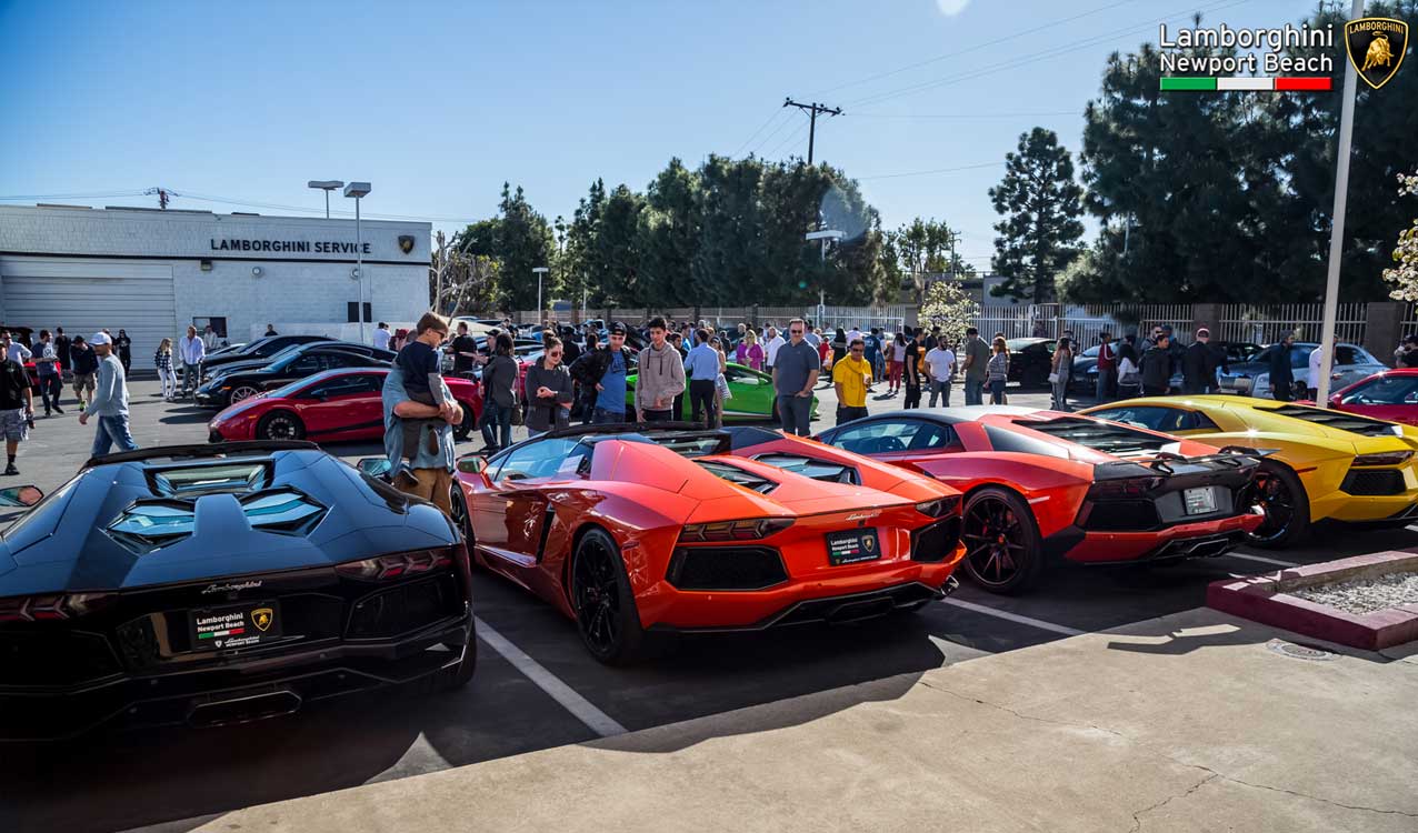 lamborghini-newport-superca
