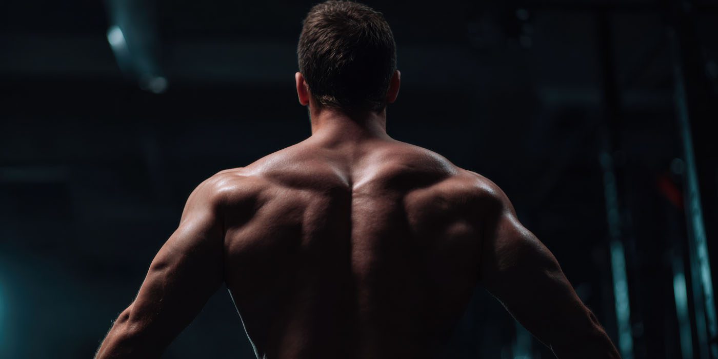 A muscular man is shown from behind in a dimly lit gym, highlighting his well-defined back and shoulder muscles—an inspiring image of energy and dedication to longevity.
