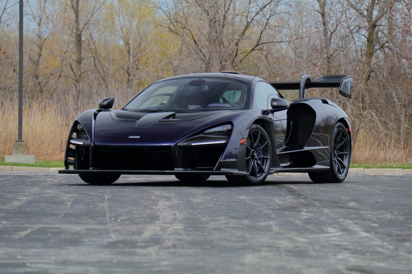mclaren senna 2