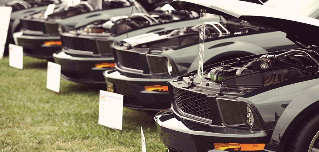 mustangs