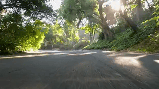 Petrolicious Film Friday: The Last Real Alfa Romeo