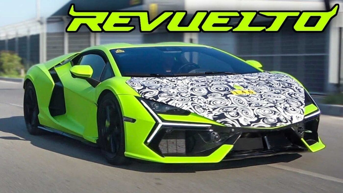revuelto spotted.jpg