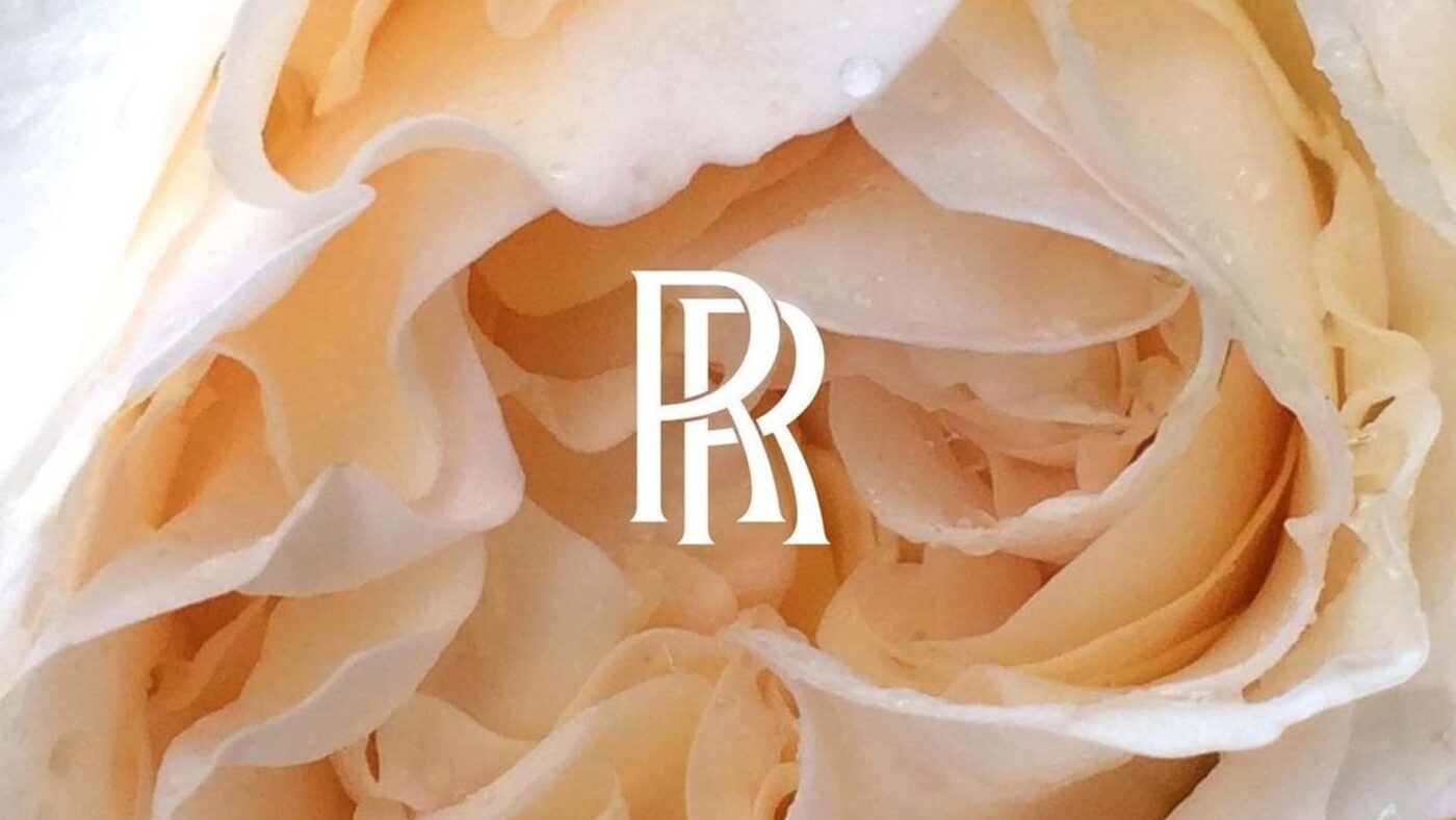 Rolls-Royce Shows Off The Exclusive, Specially-Bred Phantom Rose ...