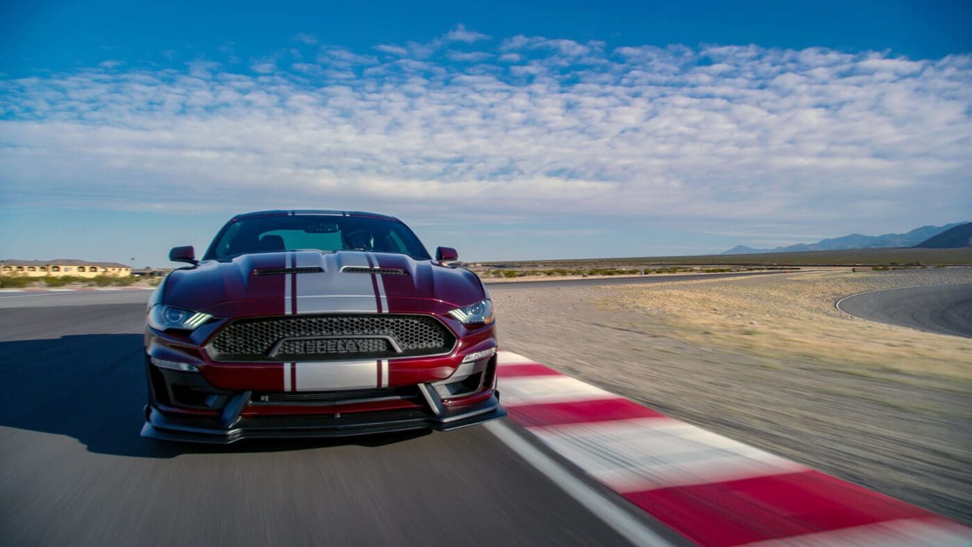 supersnake gallery 1