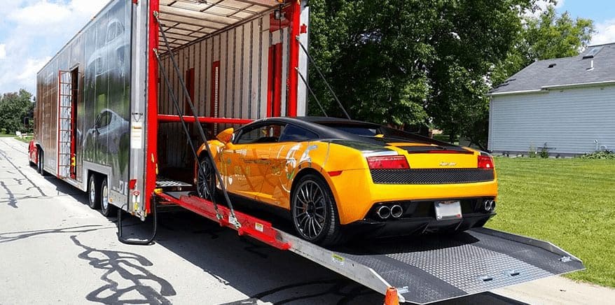 webuyexotics